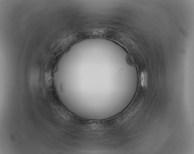 X0000115081395200911101452