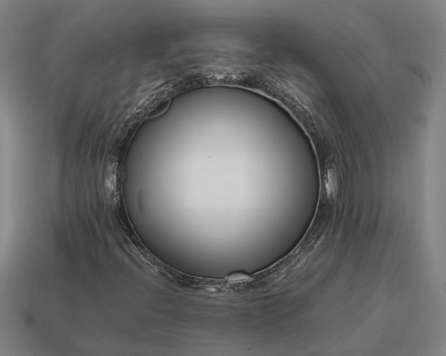 X0000115081396200911101452