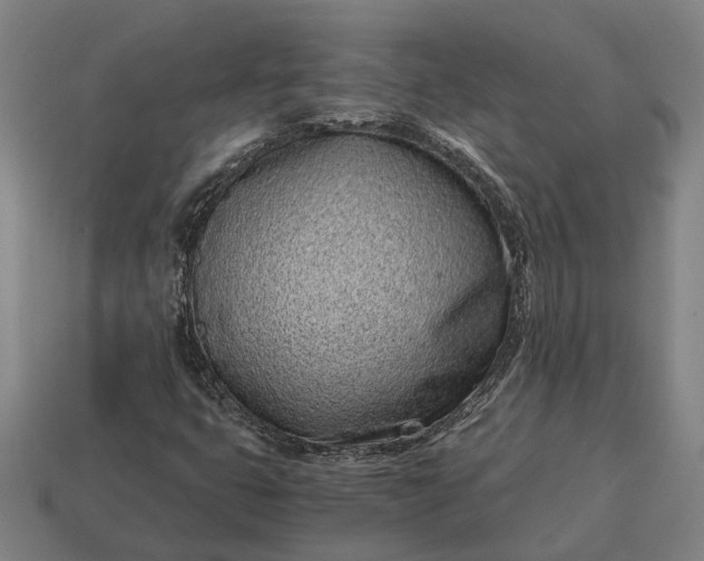 X0000115081399200911101452