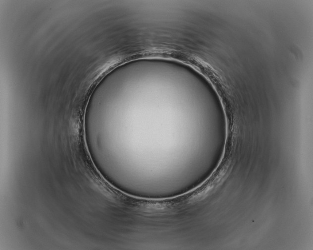 X0000115081401200911101452