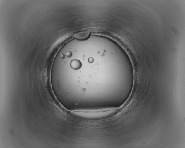 X0000115081402200911101452