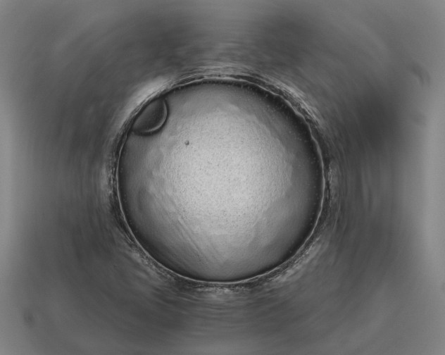 X0000115081405200911101453