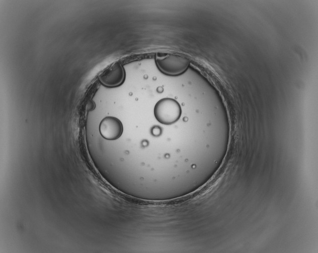 X0000115081406200911101453