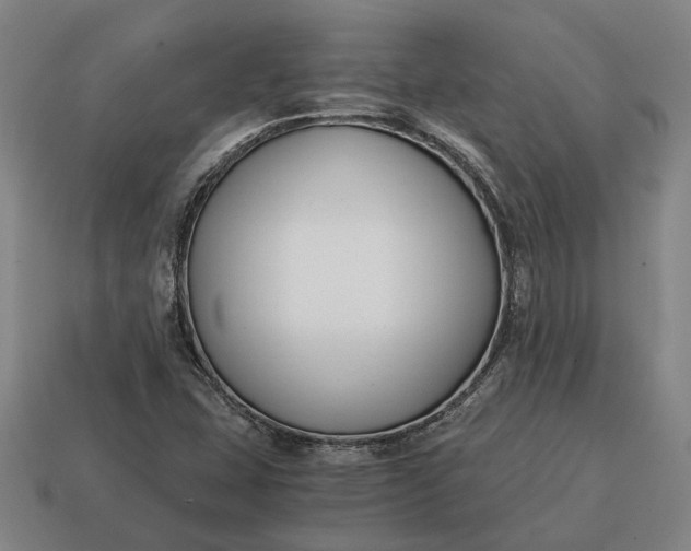 X0000115081407200911101453