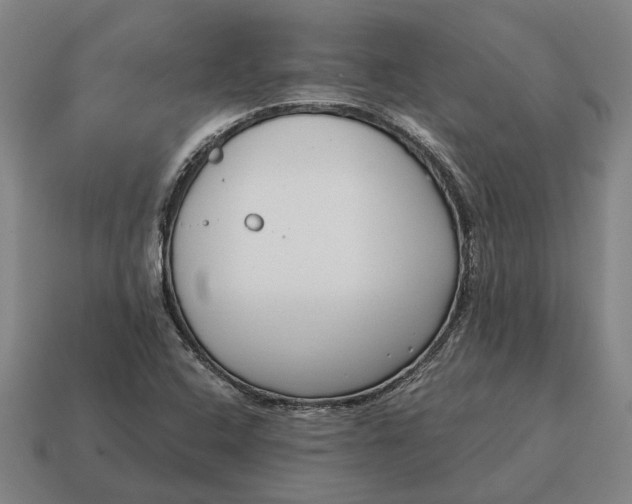 X0000115081408200911101453