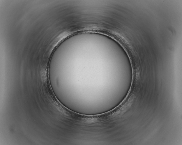X0000115081409200911101453