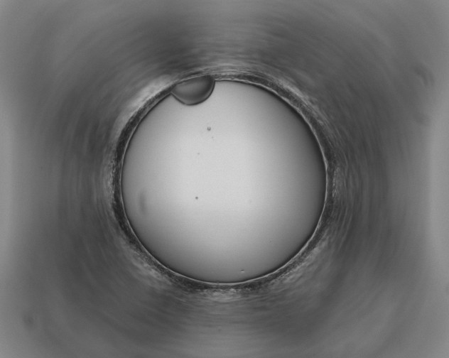 X0000115081410200911101453
