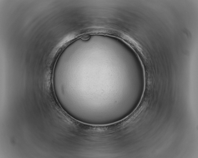 X0000115081411200911101453