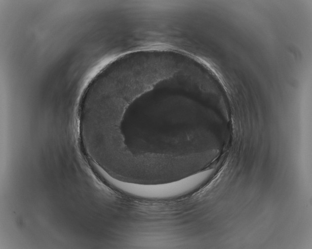 X0000115081414200911101453