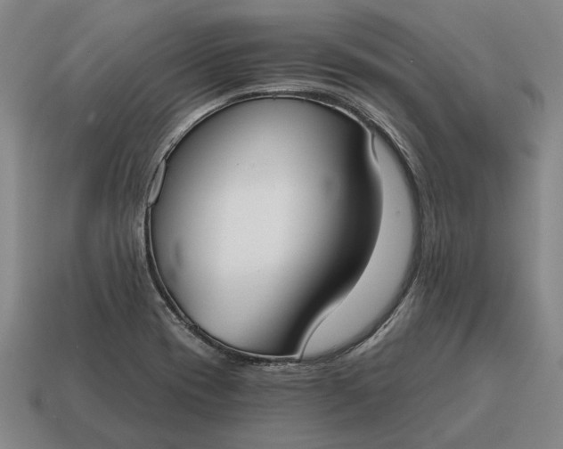 X0000115081417200911101453