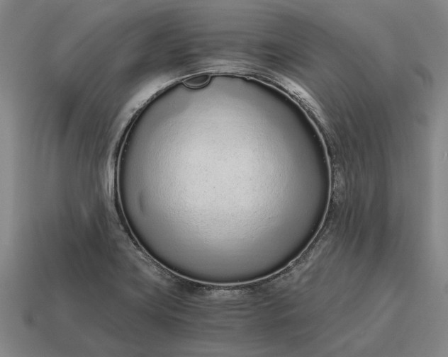 X0000115081419200911101453