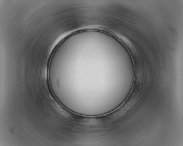 X0000115081420200911101453
