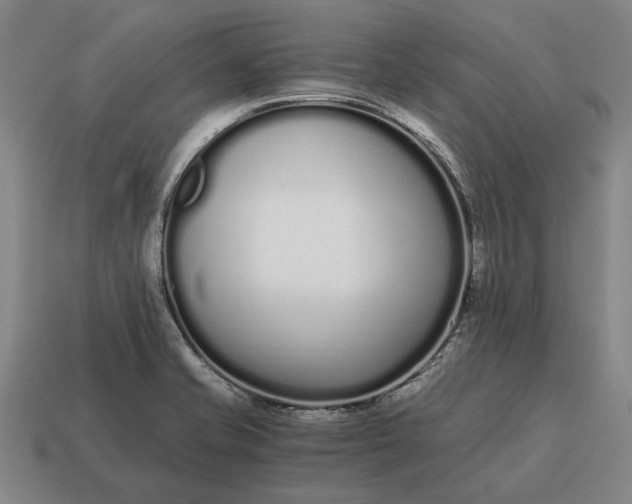 X0000115081421200911101453