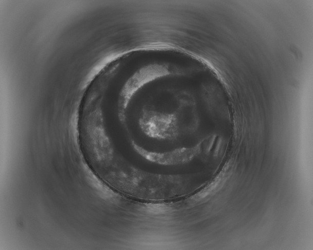 X0000115081422200911101453