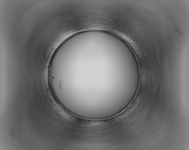 X0000115081423200911101453