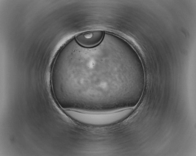 X0000115081424200911101453