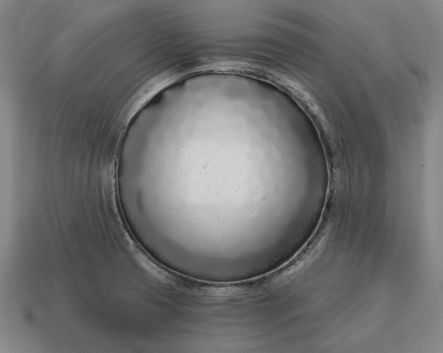 X0000115081425200911101453