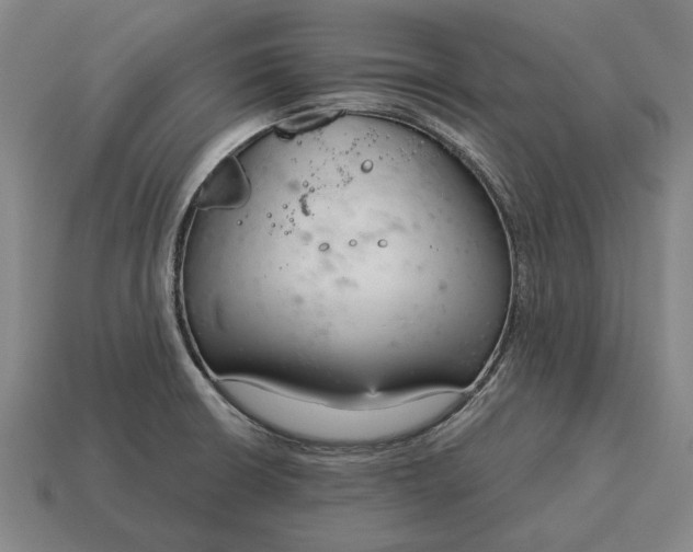 X0000115081426200911101453