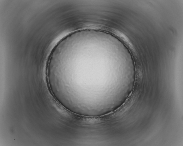 X0000115081427200911101453