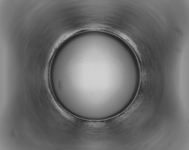 X0000115081429200911101453