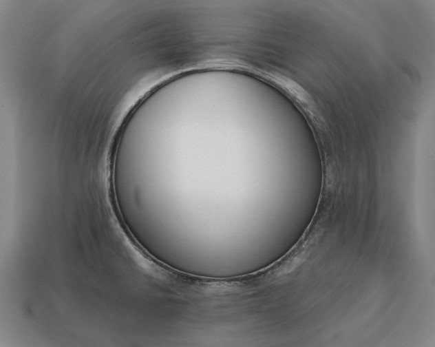 X0000115081430200911101453