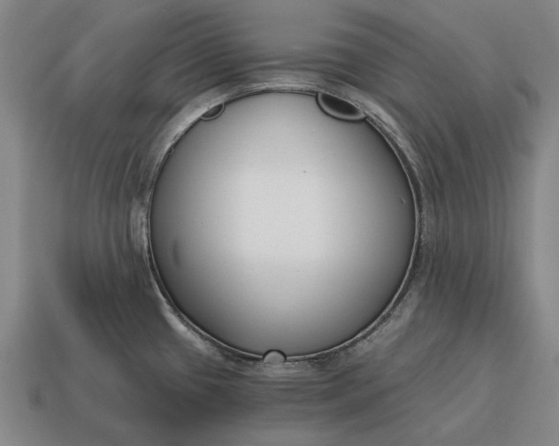 X0000115081433200911101453