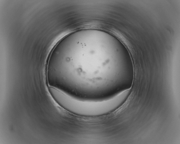 X0000115081434200911101453