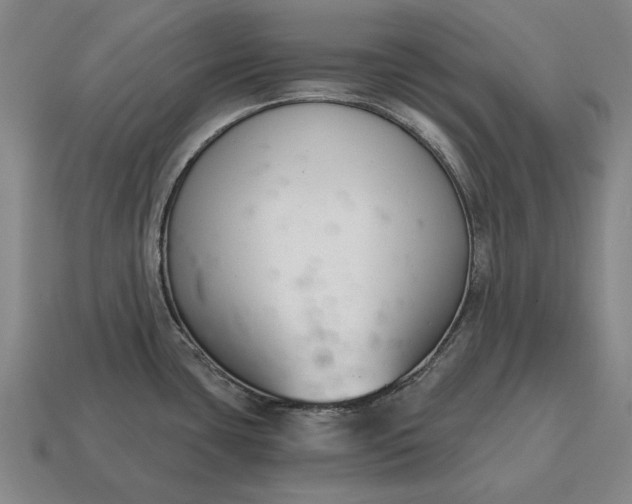 X0000115081435200911101453