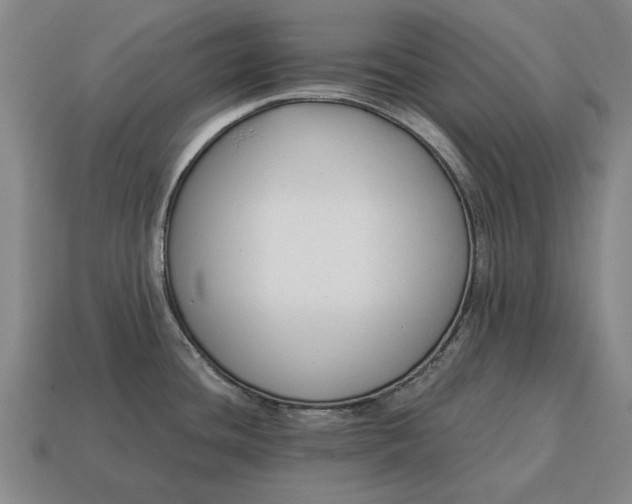 X0000115081436200911101453