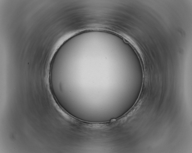 X0000115081437200911101453