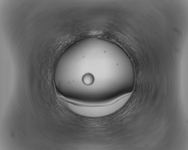 X0000115081441200911101452