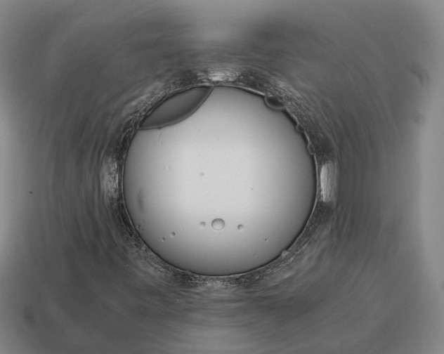 X0000115081443200911101452