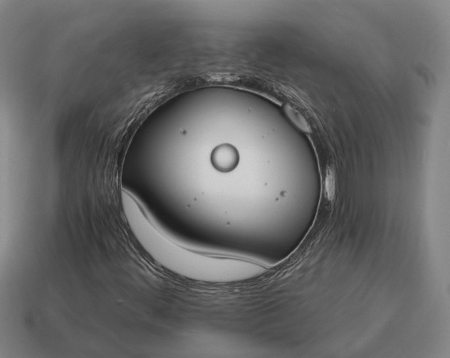 X0000115081444200911101452