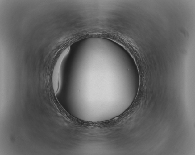 X0000115081445200911101452