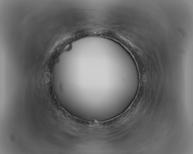 X0000115081447200911101452