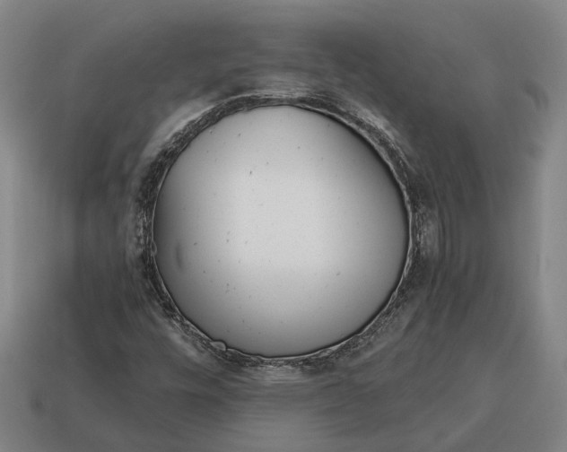 X0000115081448200911101452