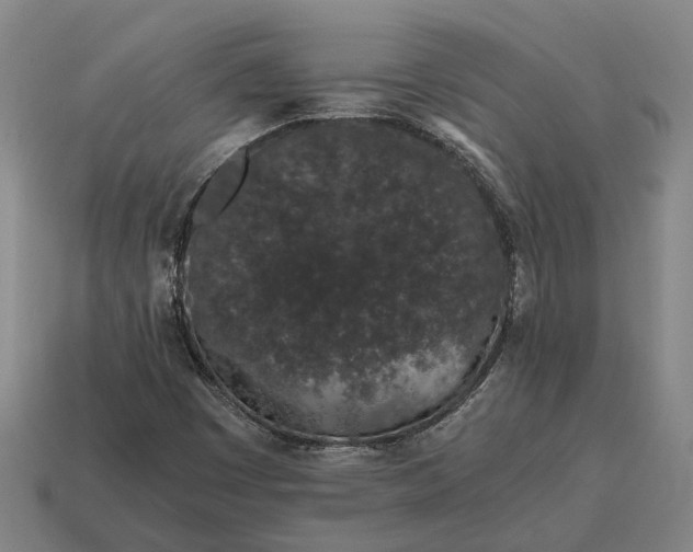 X0000115081449200911101452
