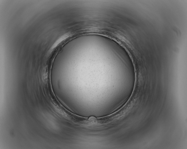 X0000115081450200911101452
