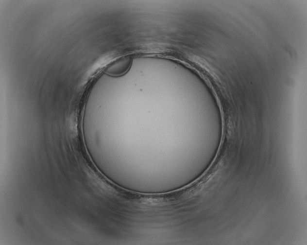 X0000115081451200911101452