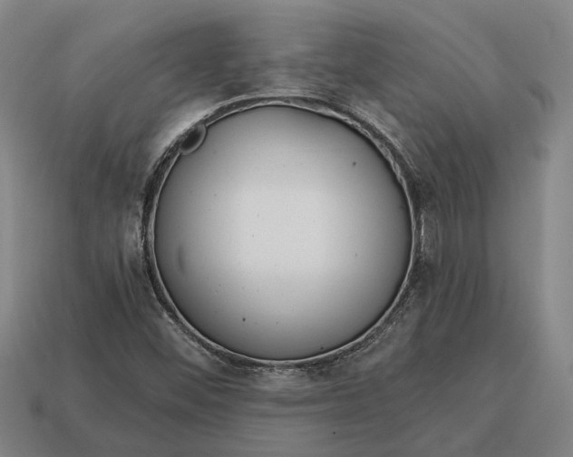 X0000115081452200911101452