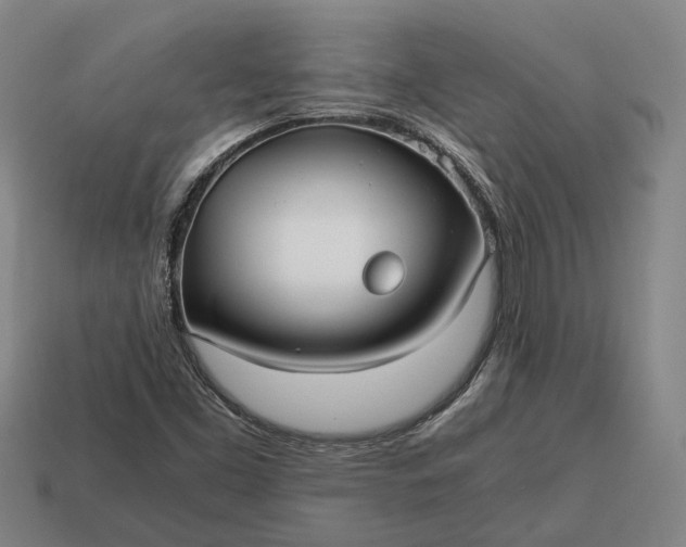 X0000115081453200911101452