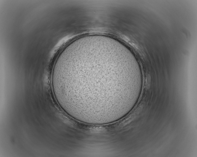 X0000115081454200911101452
