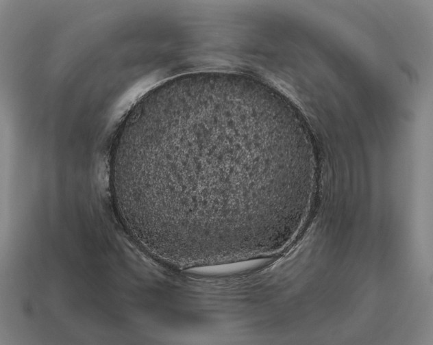X0000115081455200911101452