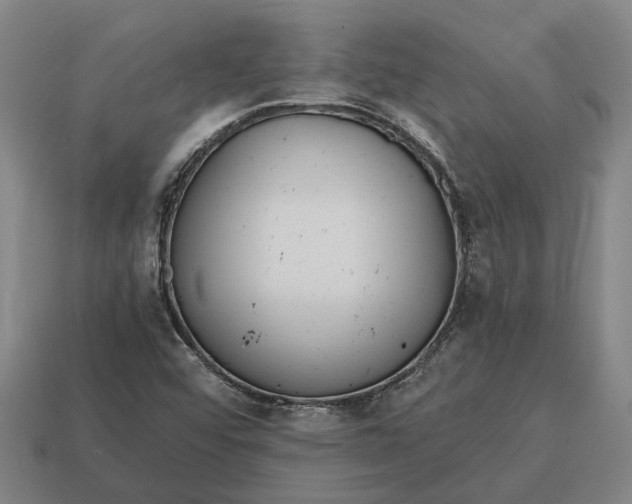 X0000115081456200911101452