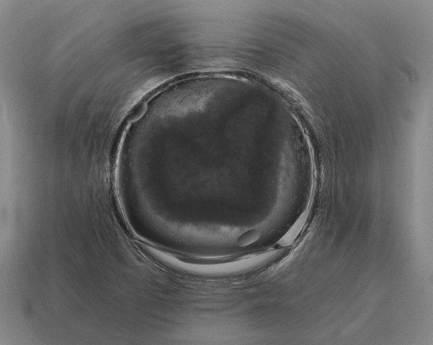 X0000115081457200911101452