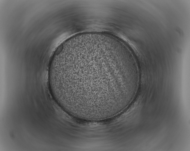 X0000115081459200911101452
