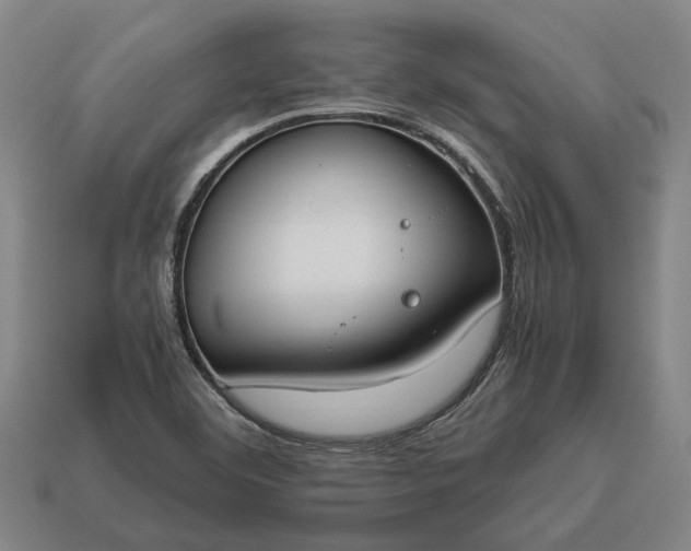X0000115081460200911101452