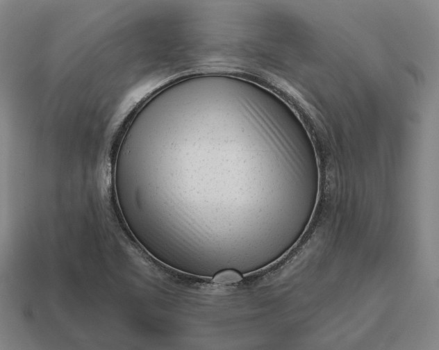 X0000115081461200911101452