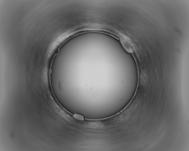 X0000115081464200911101452