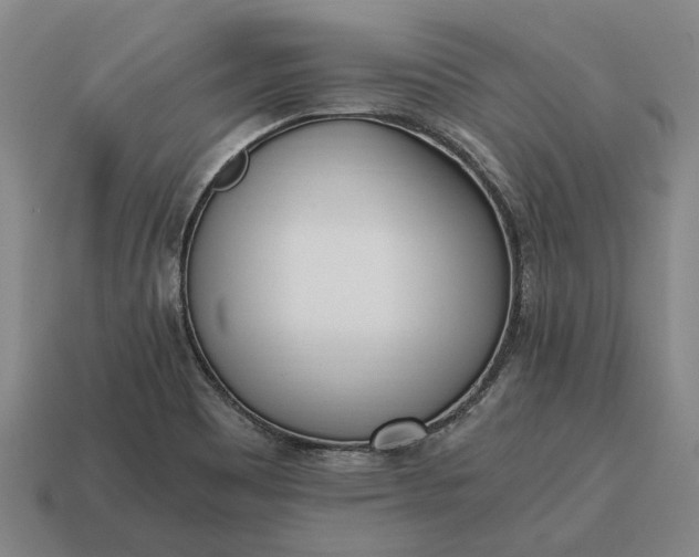 X0000115081465200911101452